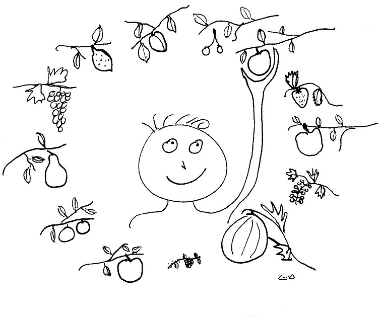 Tiroirs-Fruits-main-2