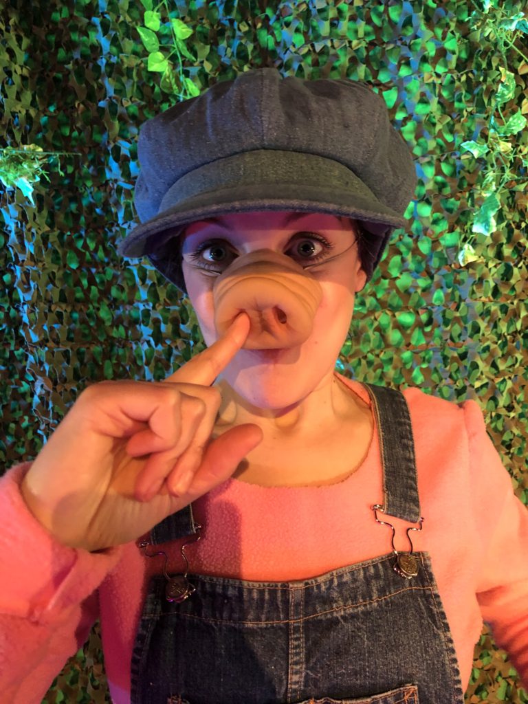 cochon-22