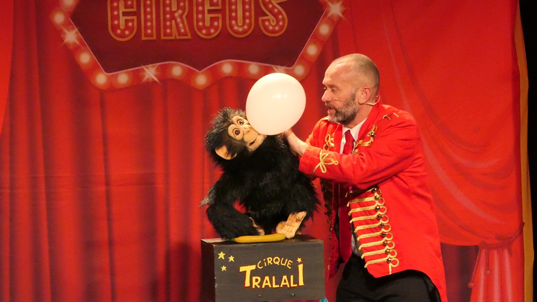 Les animaux font leur cirque